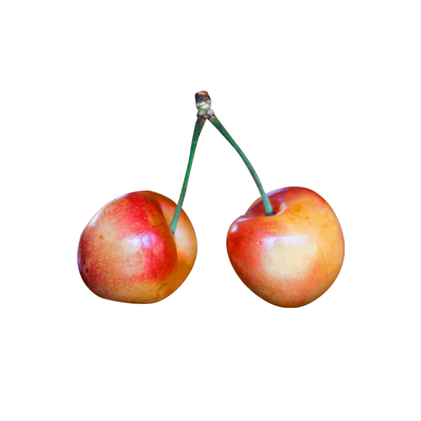 Branch Apple - Image 4